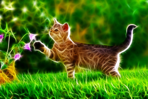 671918 (a): :2000x1333